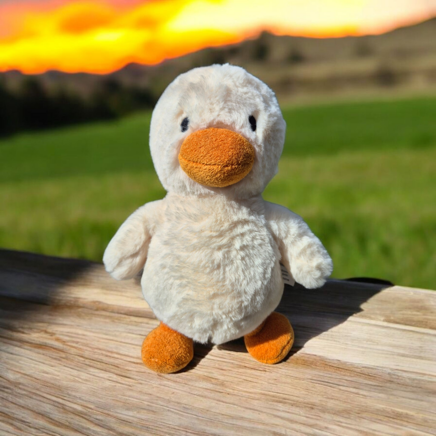 Pip the Duck Plush Toy