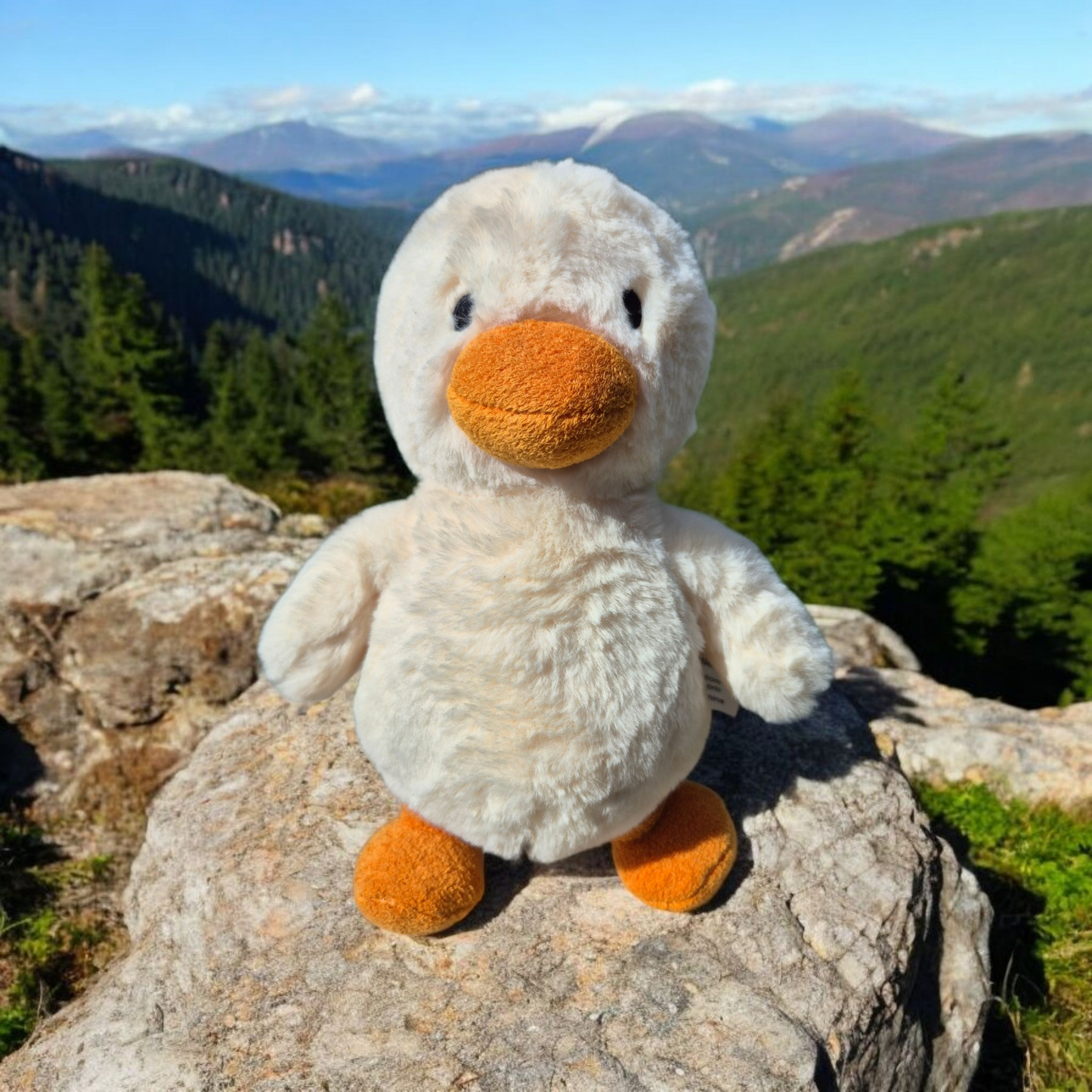 Pip the Duck Plush Toy